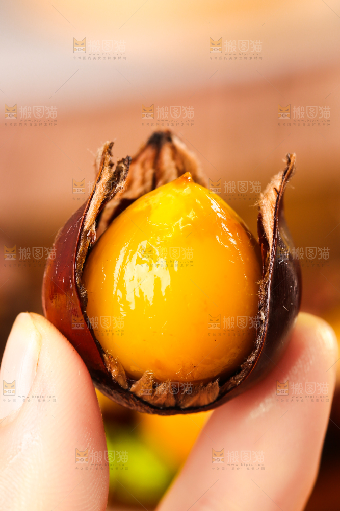 深底上的油锥栗
