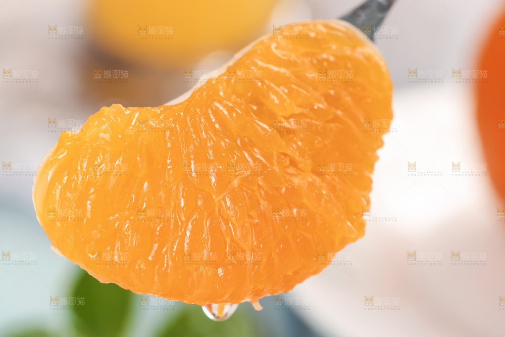 浅底上的丑八怪
