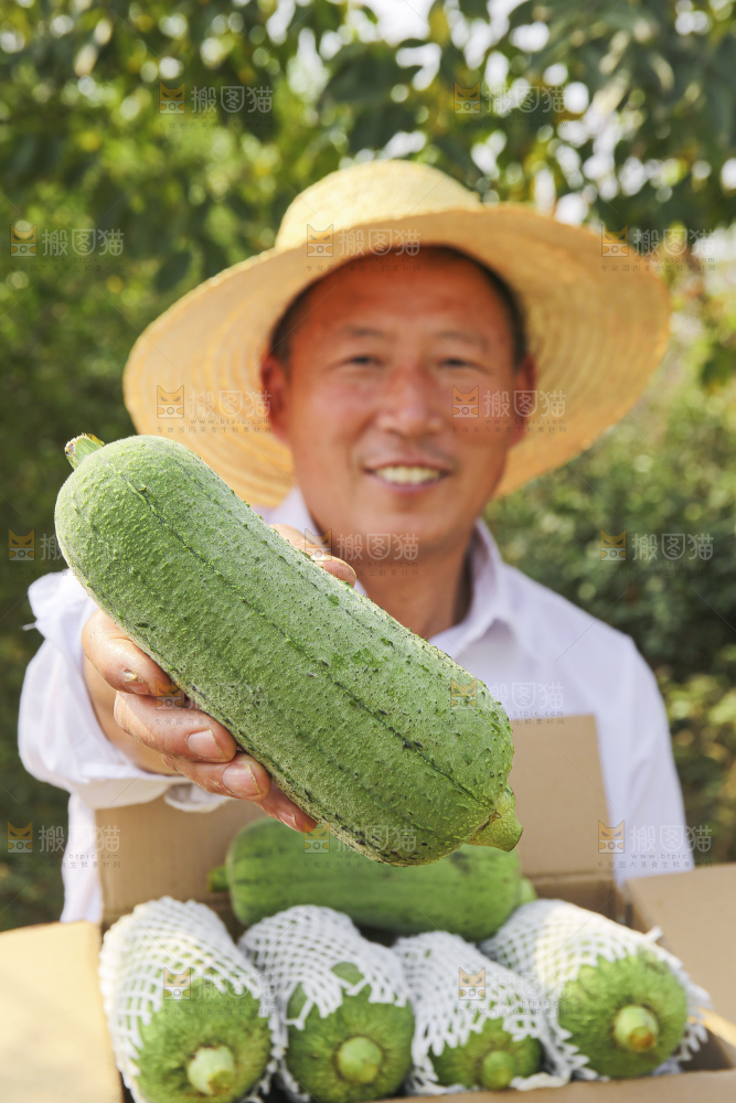 手里拿着新鲜丝瓜