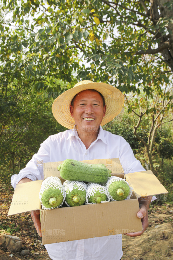手里拿着新鲜丝瓜