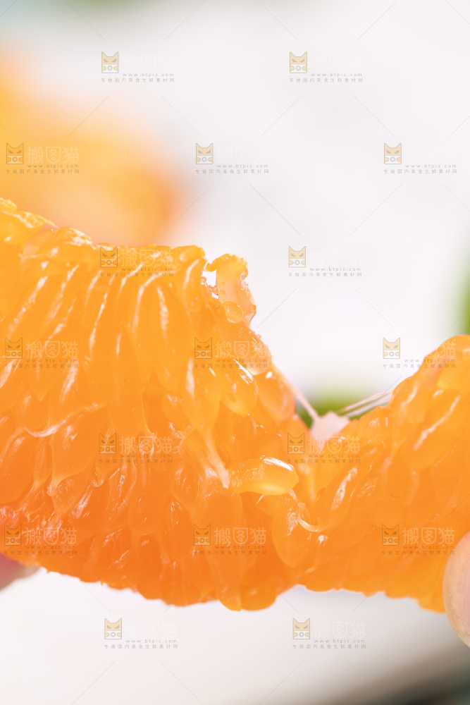 浅底上的丑八怪