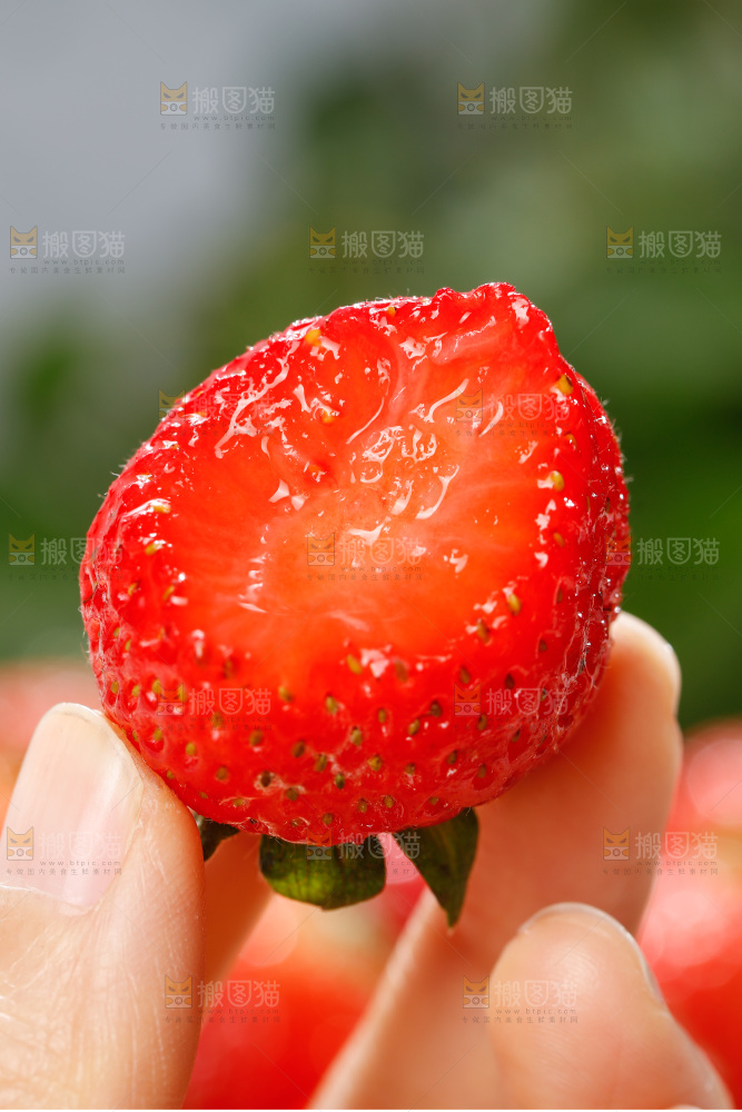 浅底上的丹东草莓
