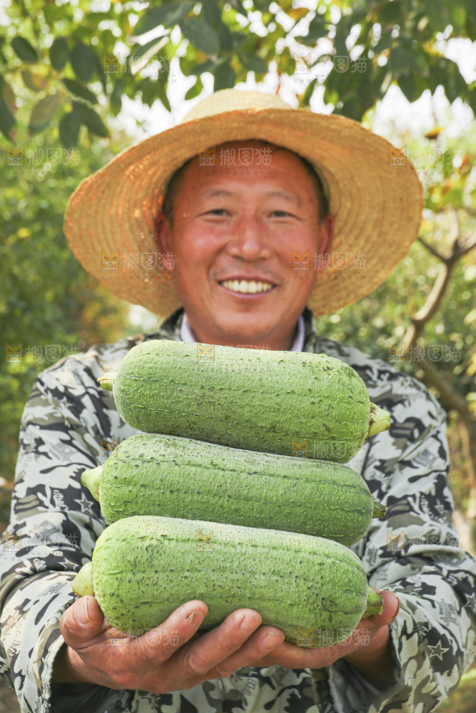 手里拿着新鲜丝瓜