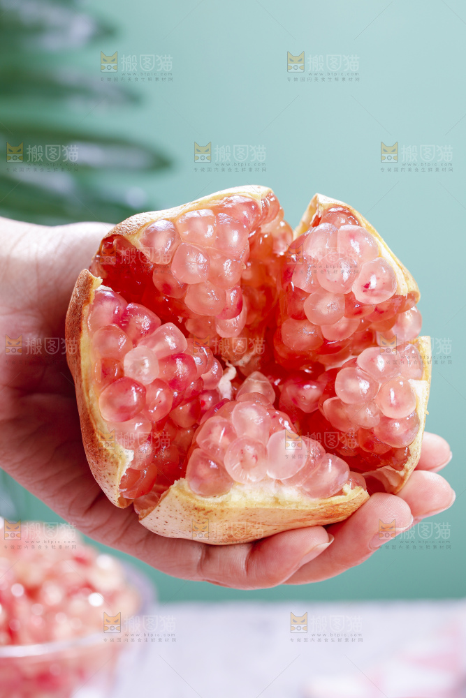 浅底上的蒙自石榴