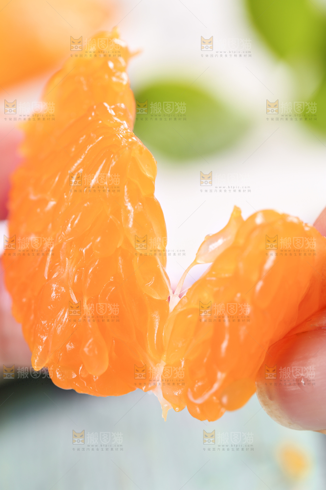 浅底上的丑八怪