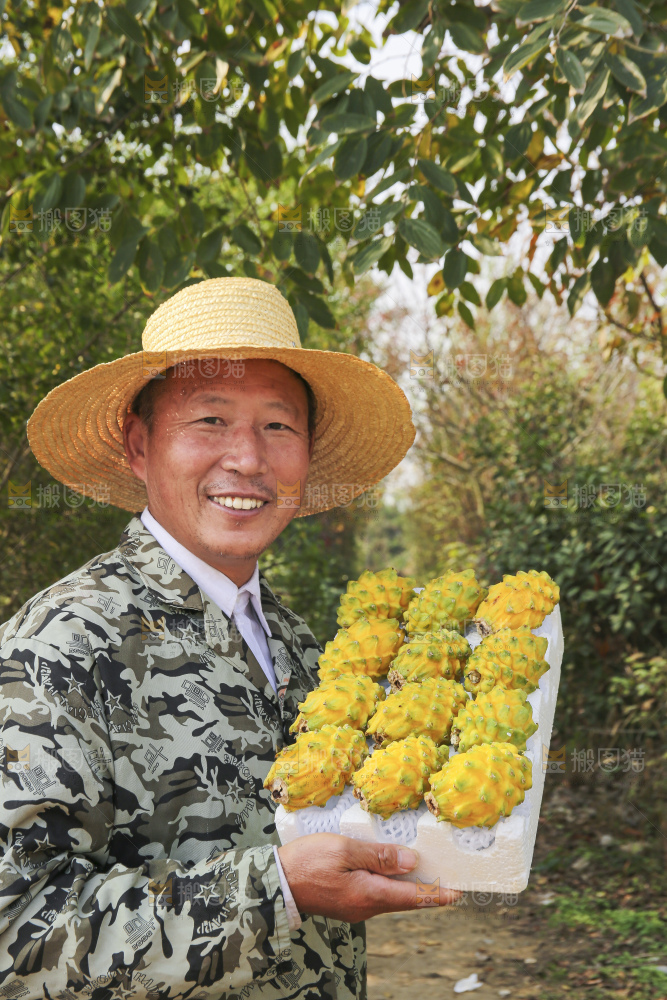 手里拿着燕窝果