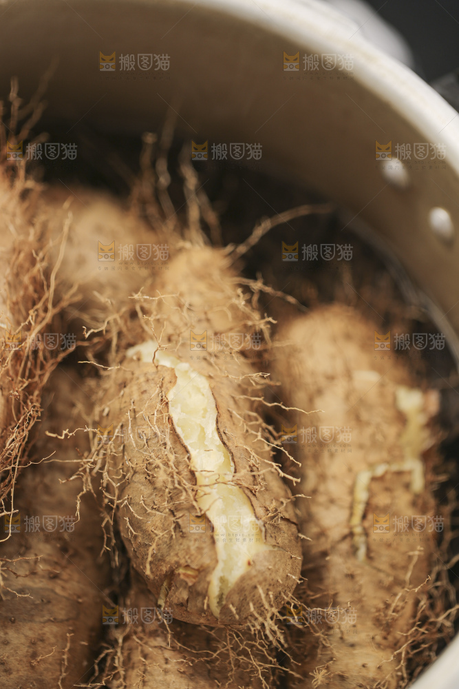 锅里蒸熟的毛薯