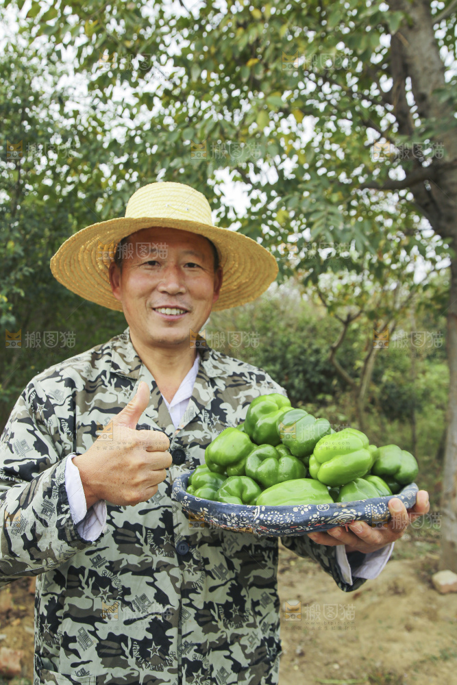 手里拿着新鲜青圆椒