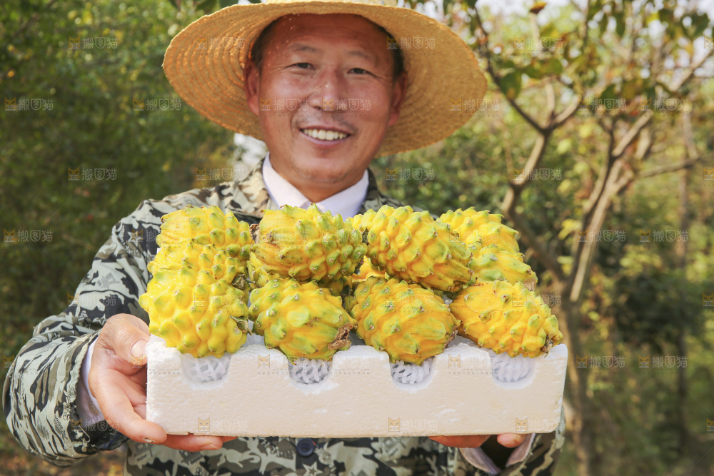 手里拿着燕窝果