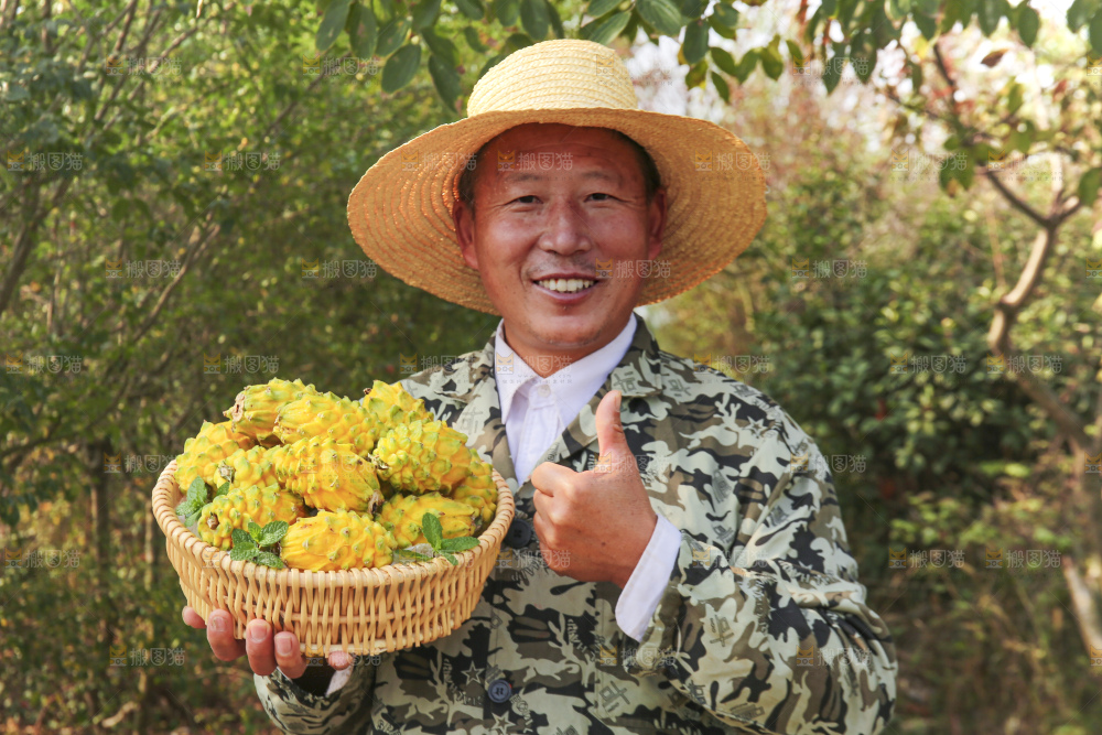 手里拿着燕窝果
