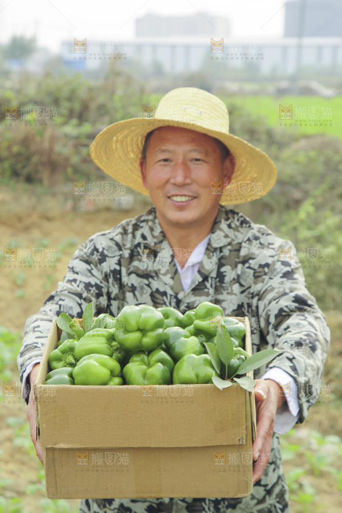 手里拿着新鲜青圆椒