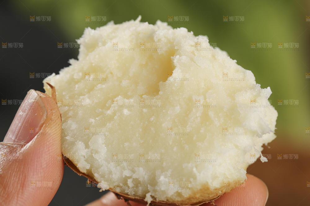 深底上的新鲜毛薯