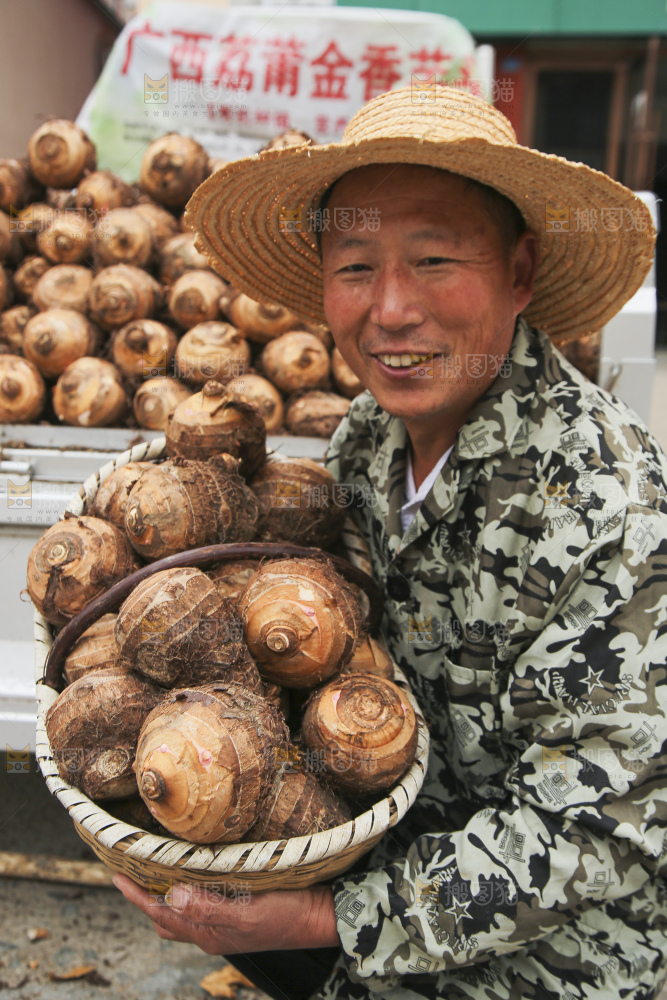 大片荔浦芋头