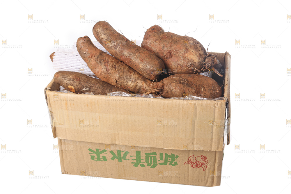 白底上的云南山药