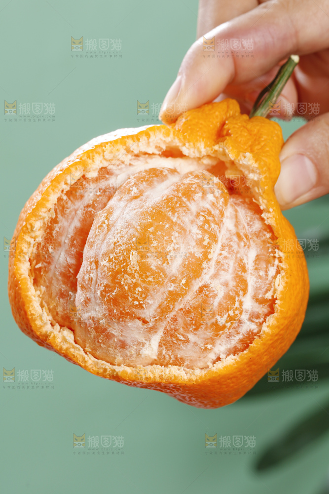 丑橘