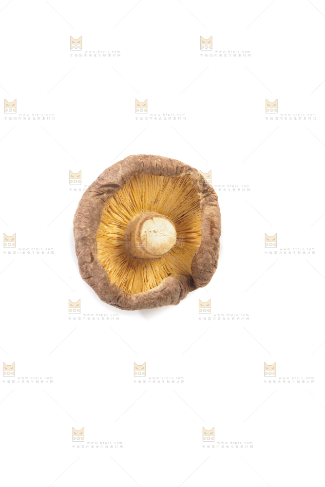 白底上的干香菇