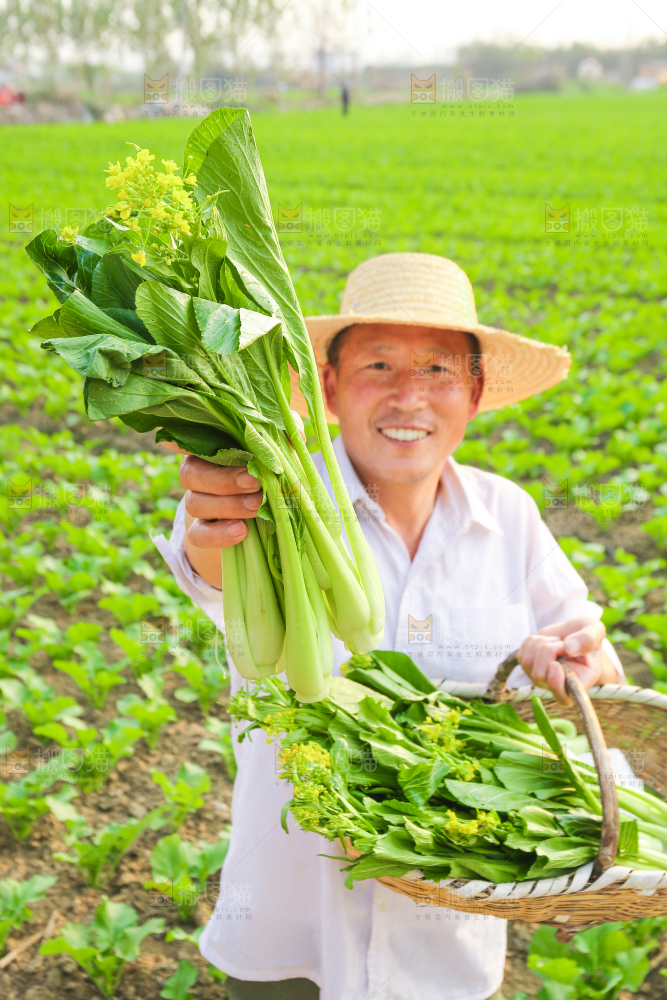 手里拿着广东菜心