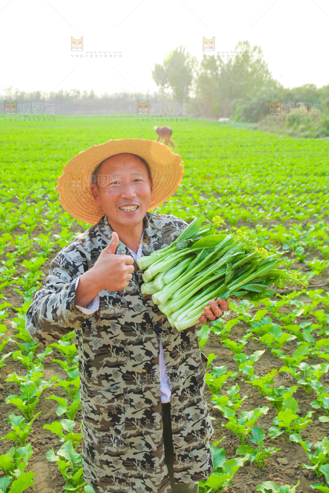 手里拿着广东菜心