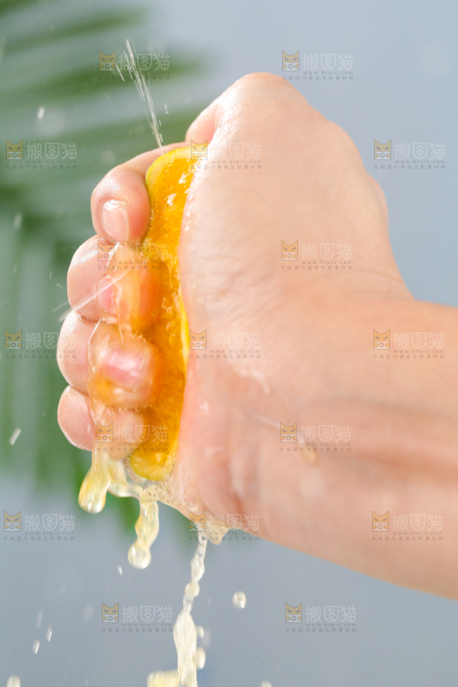 浅底上的爱媛果冻橙