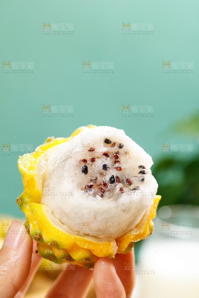 浅底上的燕窝果