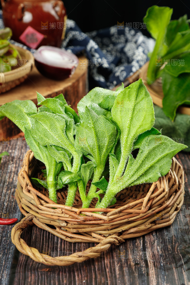 深底上的冰草