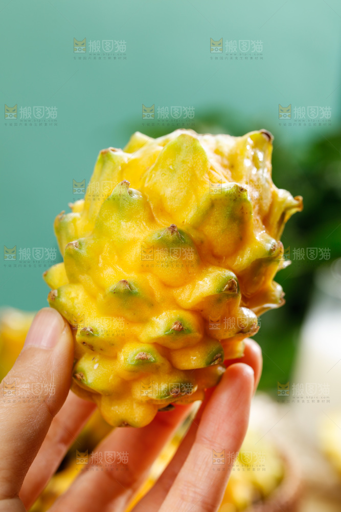 浅底上的燕窝果