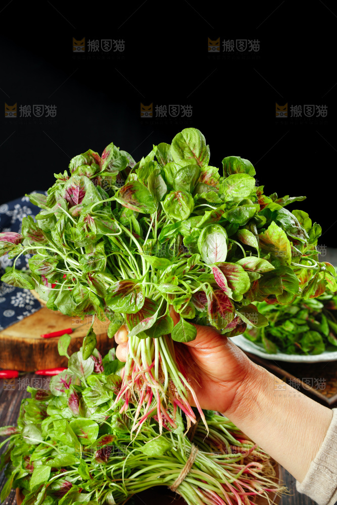 深底上的新鲜苋菜
