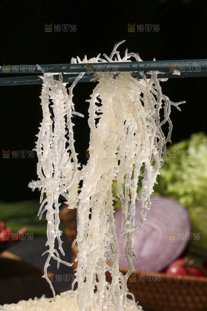 深底上的龙须菜