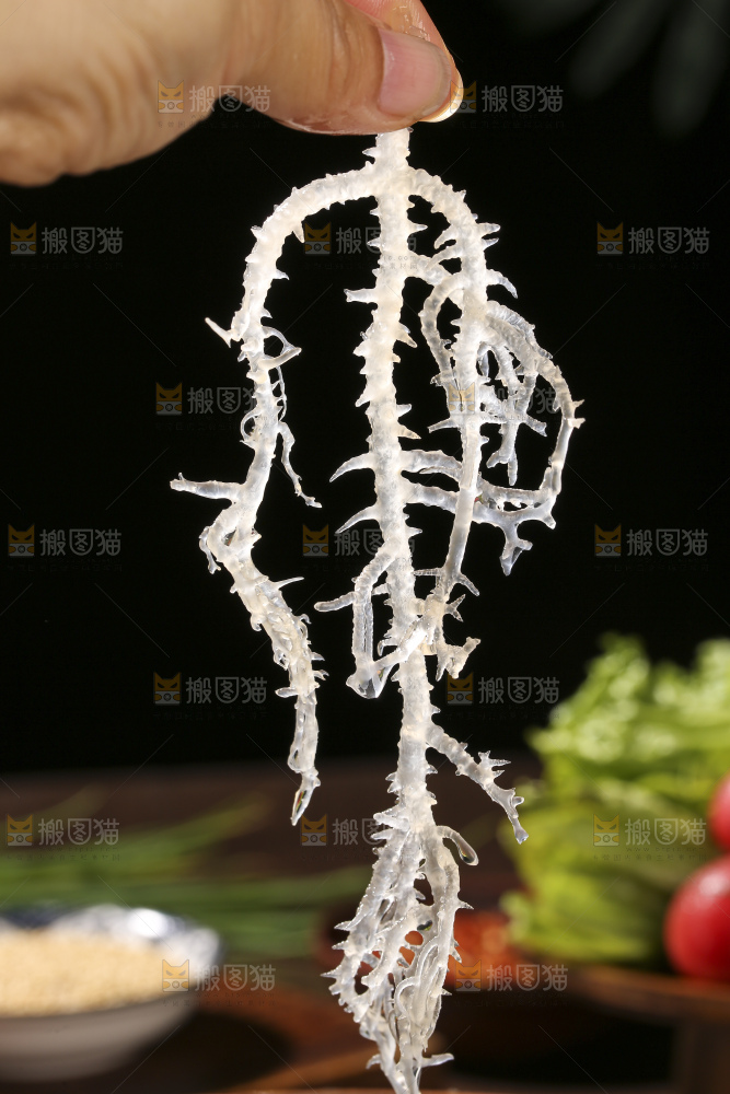 深底上的龙须菜