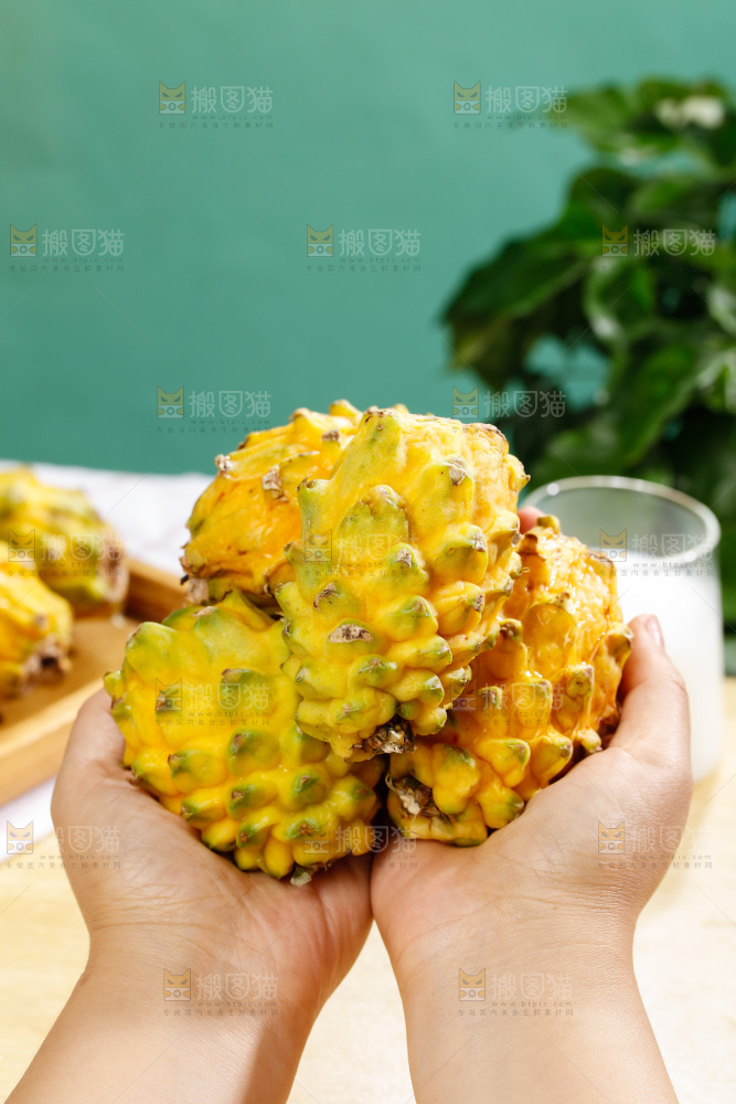 浅底上的燕窝果