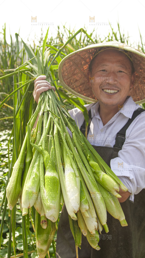 手里拿着新鲜茭白