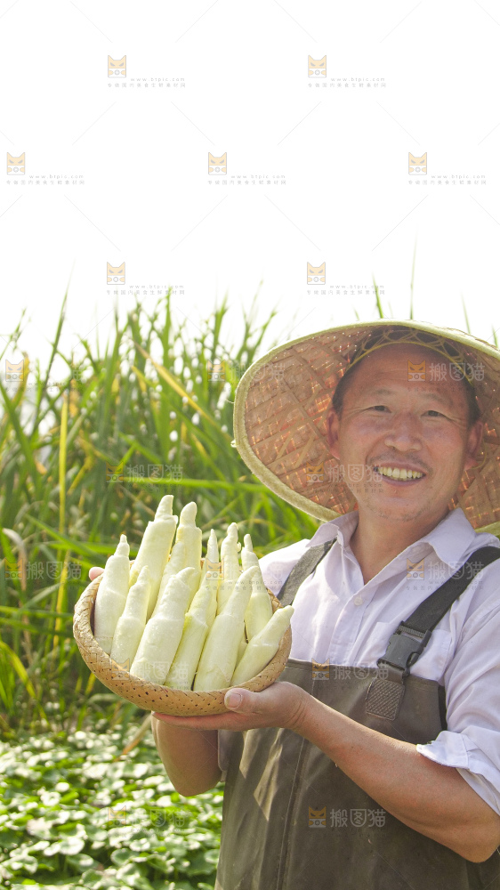 手里拿着新鲜茭白
