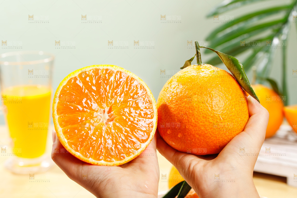 浅底上的爱媛果冻橙