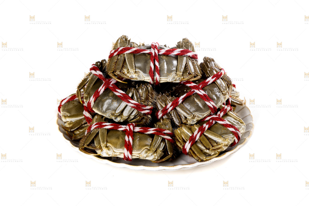 白底上的大闸蟹