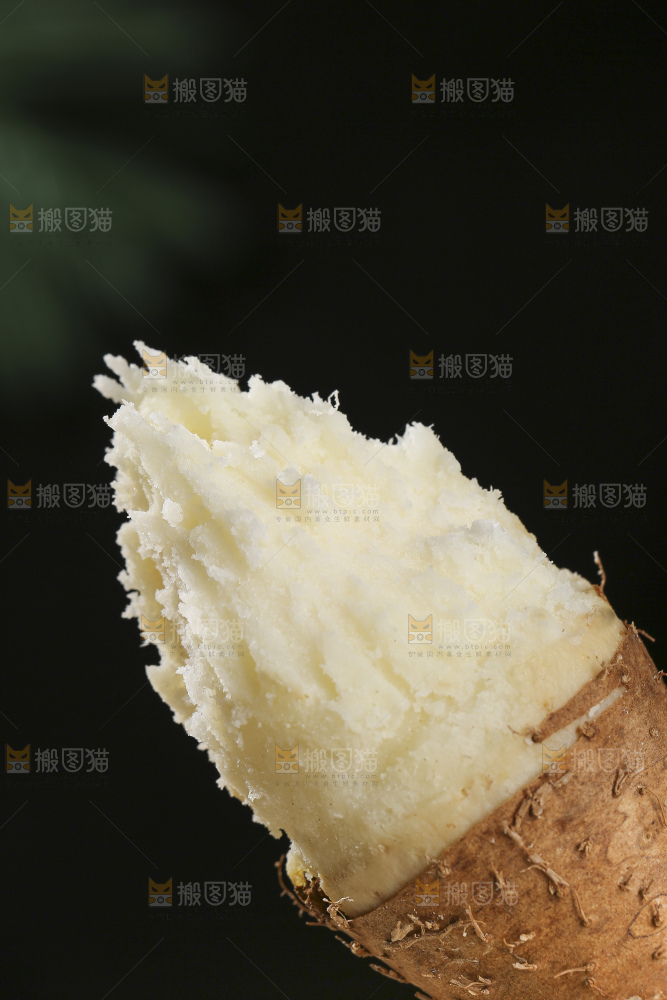 浅底上的毛薯泥