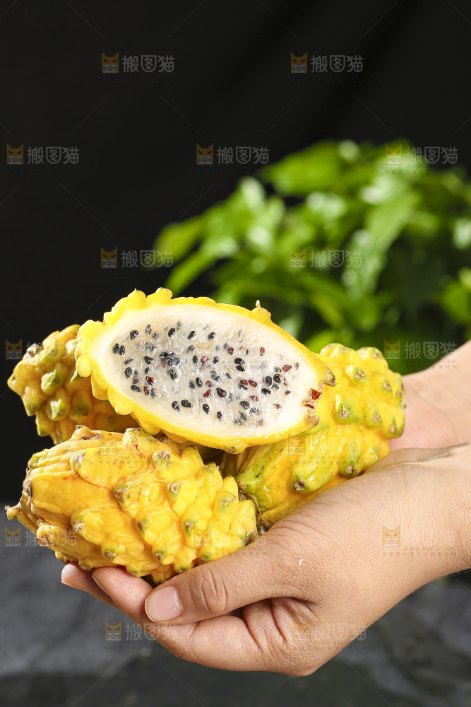深底上的燕窝果