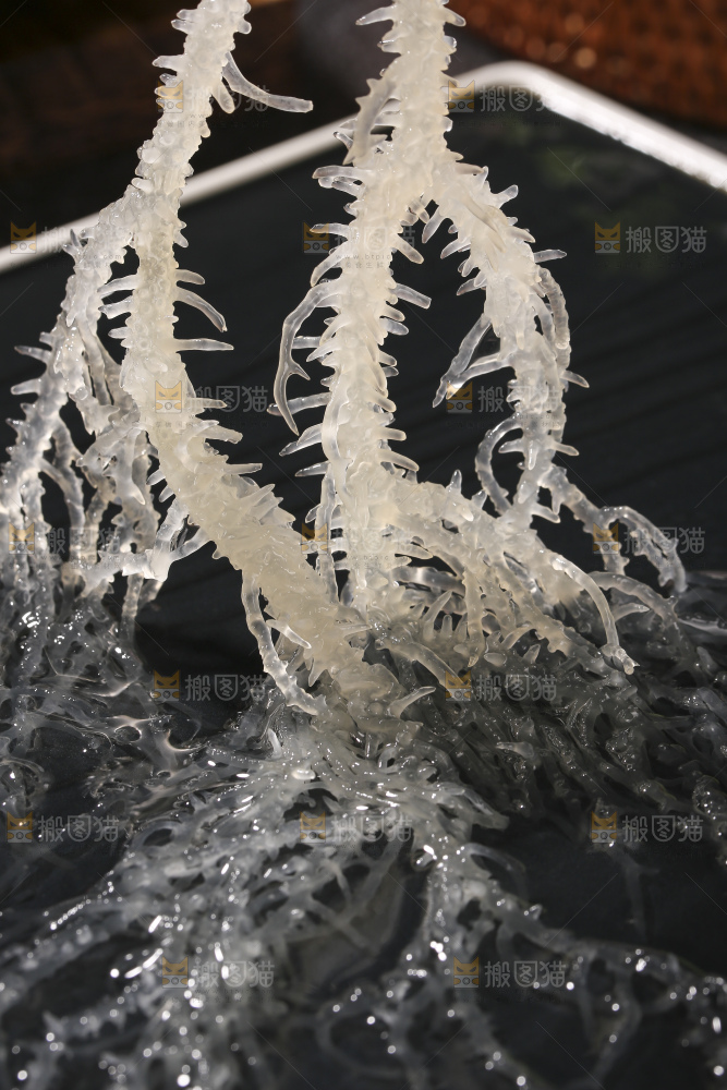 深底上的龙须菜
