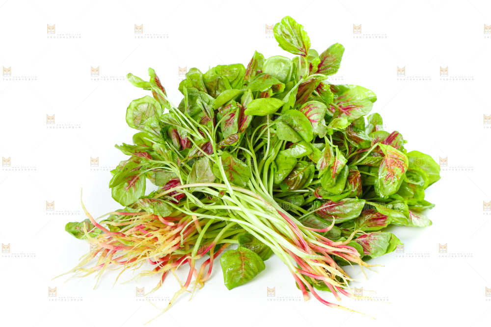 白底上的农家苋菜