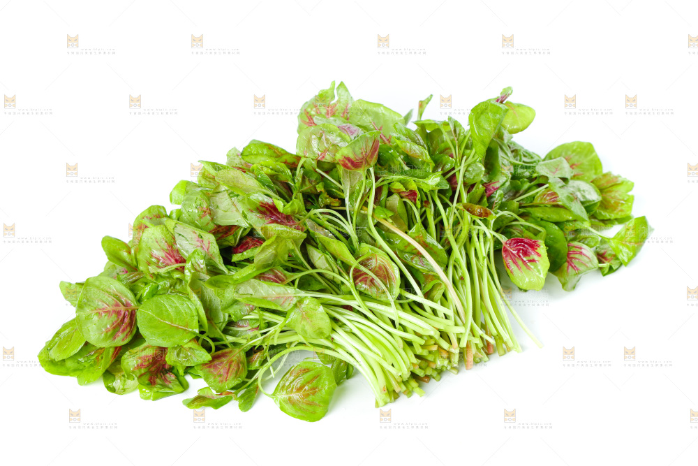 白底上的农家苋菜