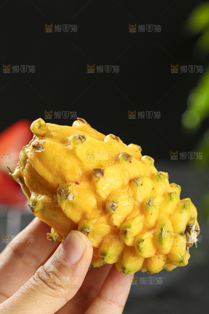 深底上的燕窝果