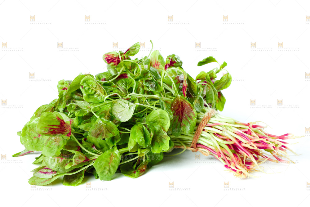 白底上的农家苋菜
