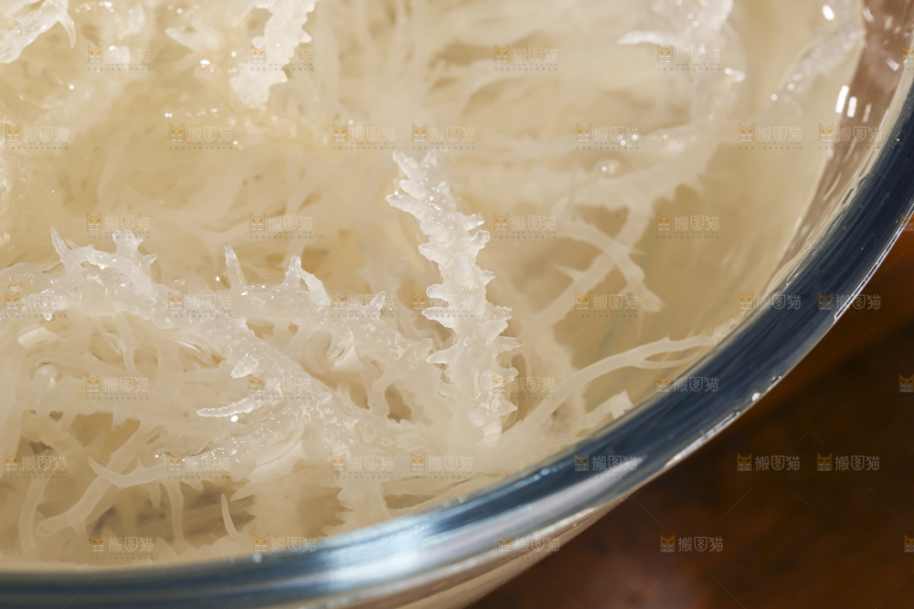 深底上的龙须菜
