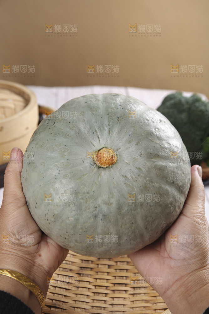 浅底上的银栗南瓜
