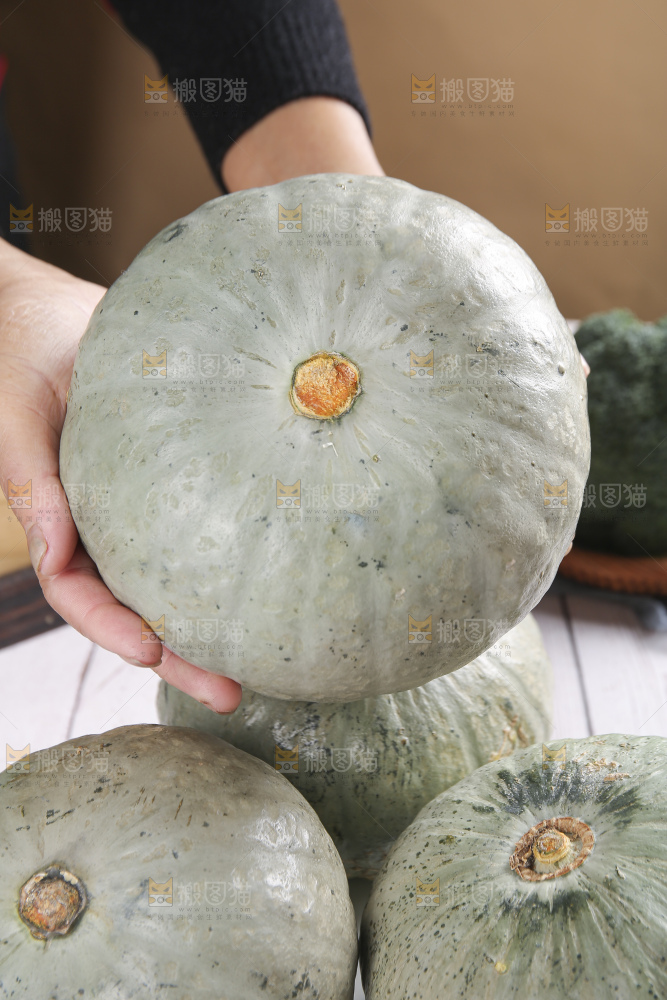 浅底上的银栗南瓜