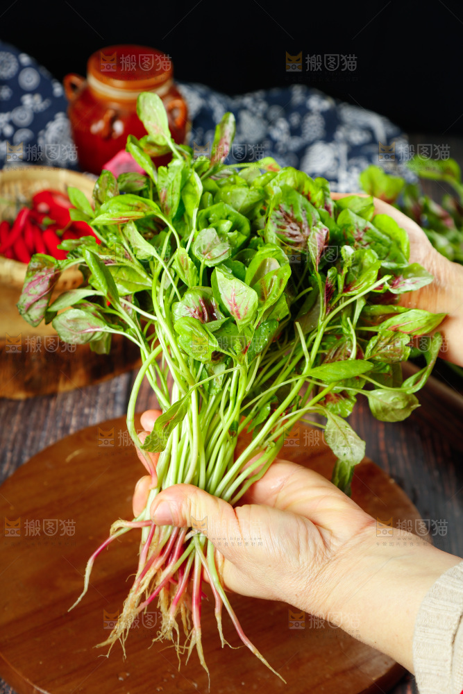 深底上的新鲜苋菜