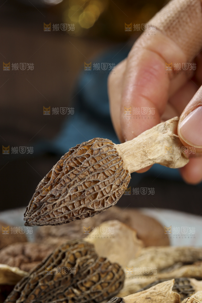 木底上的菌菇汤