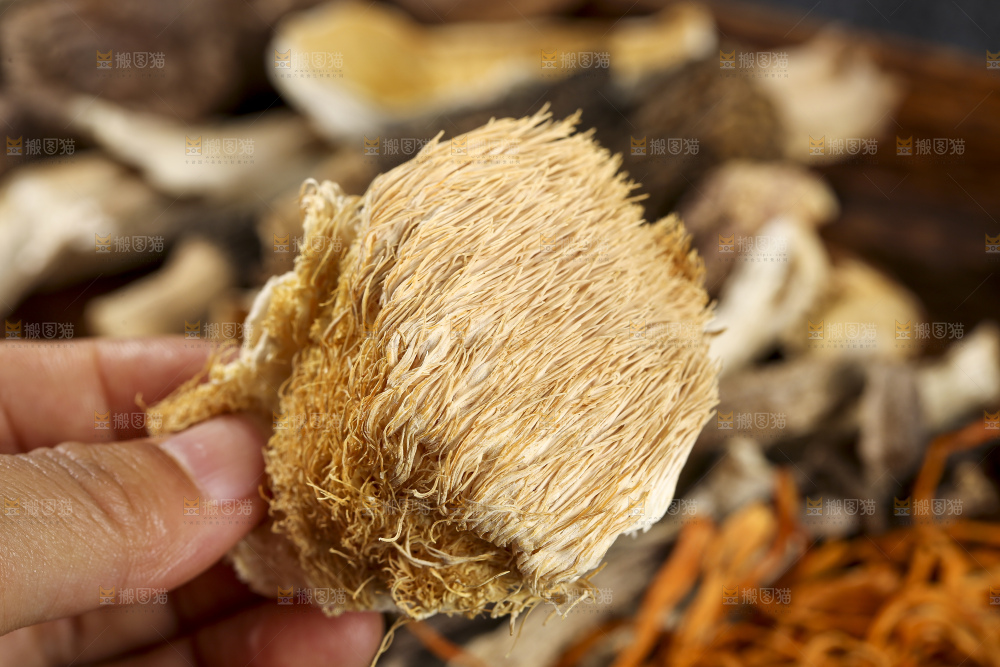 木底上的菌菇汤