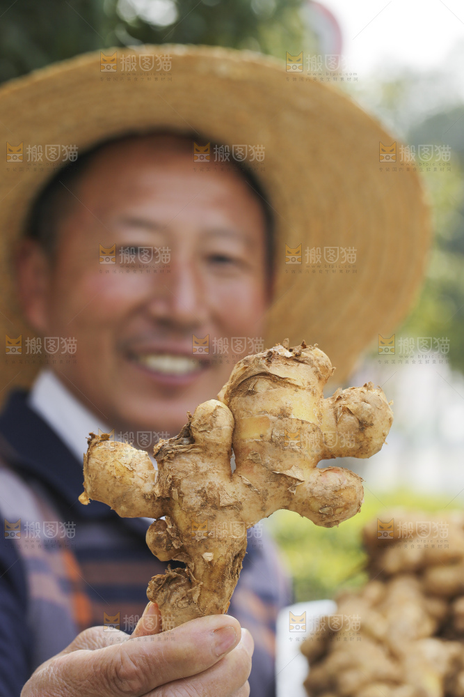 手里拿着新鲜生姜