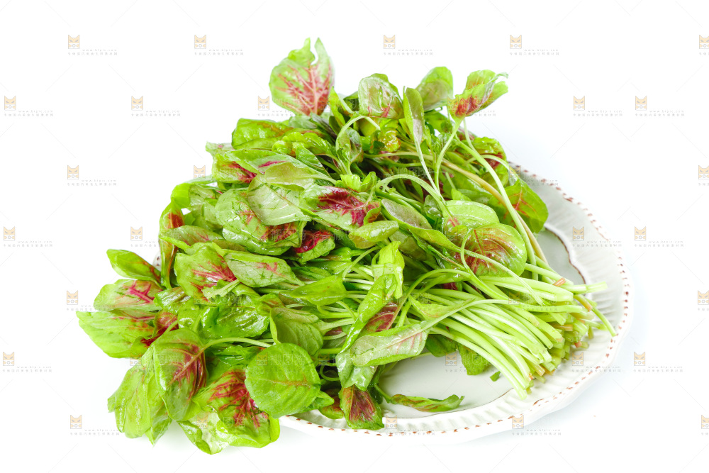 白底上的农家苋菜