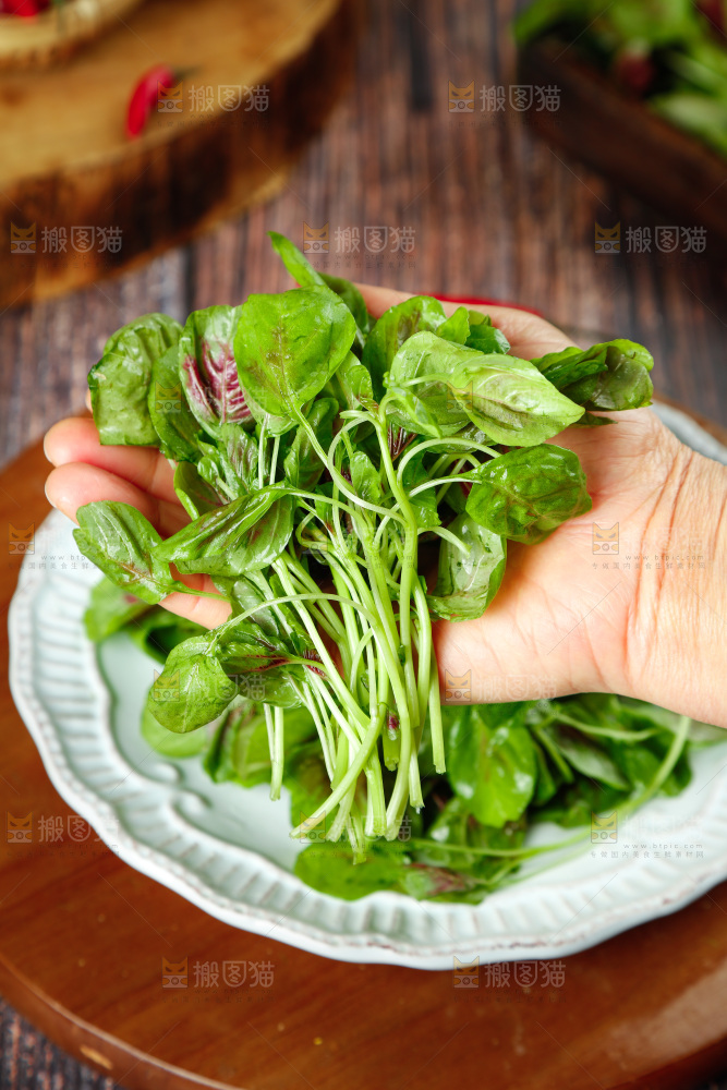深底上的新鲜苋菜